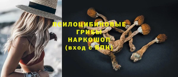 соль ск Краснослободск