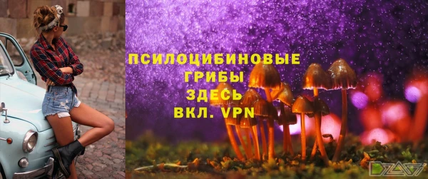 соль ск Краснослободск