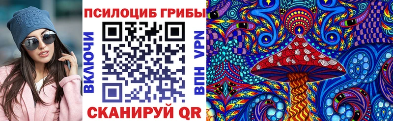 Купить где Голицыно Галлюциногенные грибы Cubensis